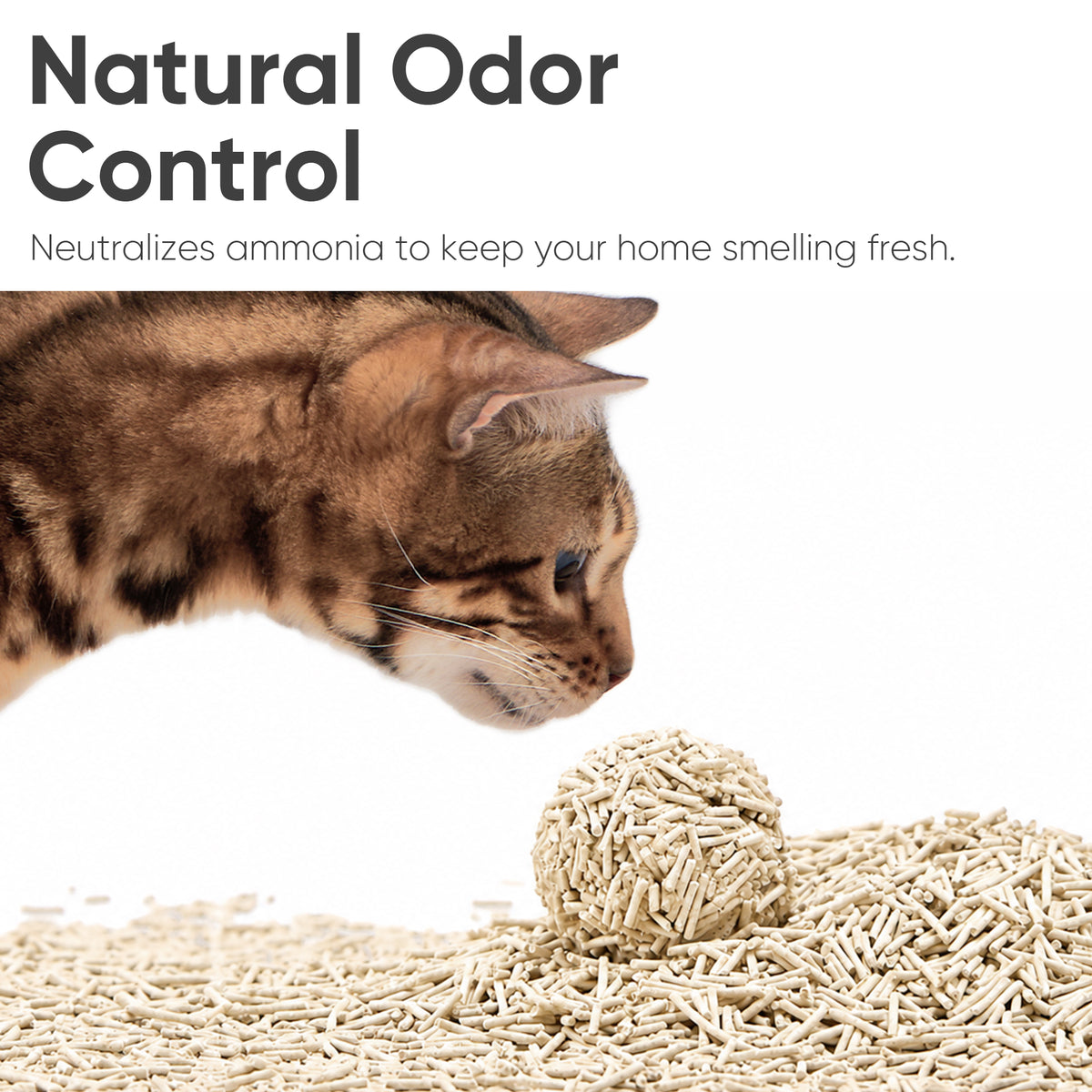 Tofu Cat Litter - Unscented