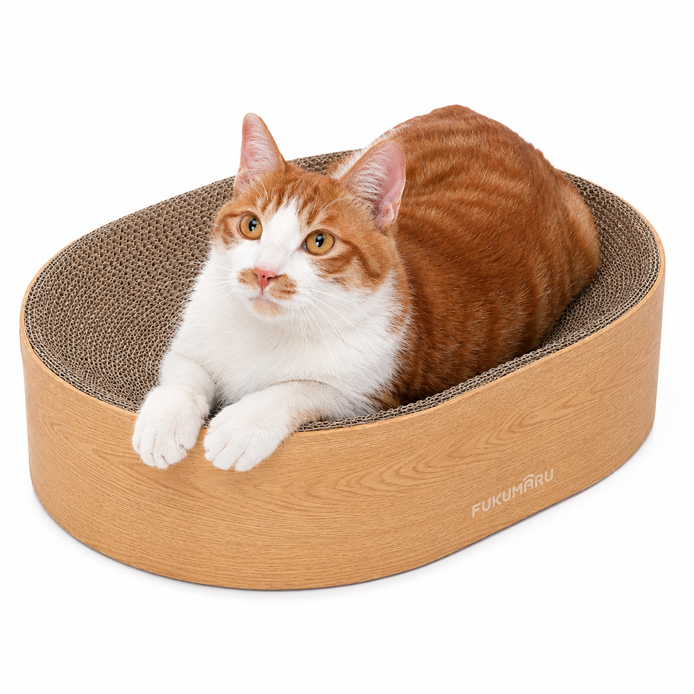 Rectangular Scratcher with cat