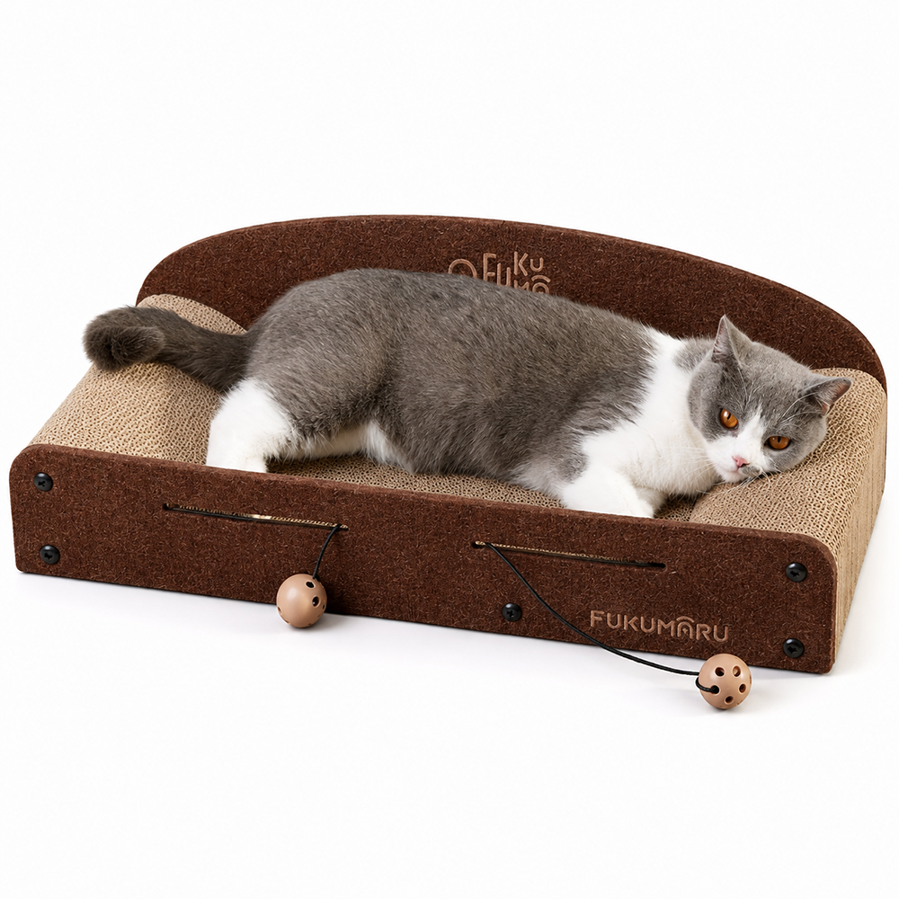 Tunnel Scratcher with cat