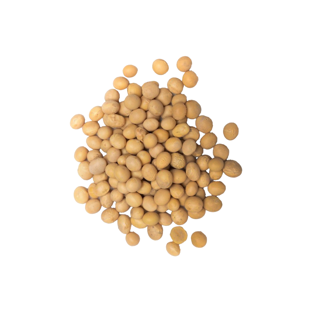 Official NZ Store | NZ's most exciting new Cat Litter – Fukumaru NZ
